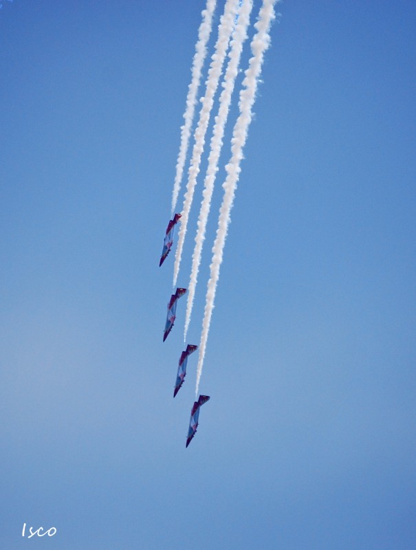 Patrulla guila Picado