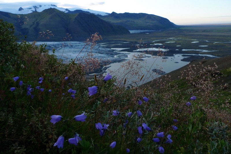 amanecer en el glaciar