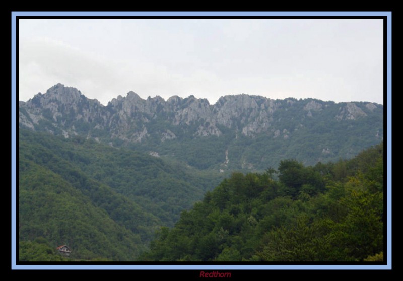 Picachos cerca de Biogradska