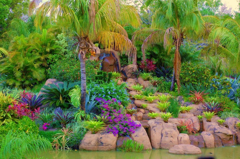 Jardines Tropicales