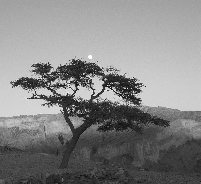 Solo en el Altiplano