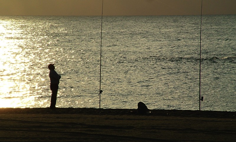 Pescador a la Espera......