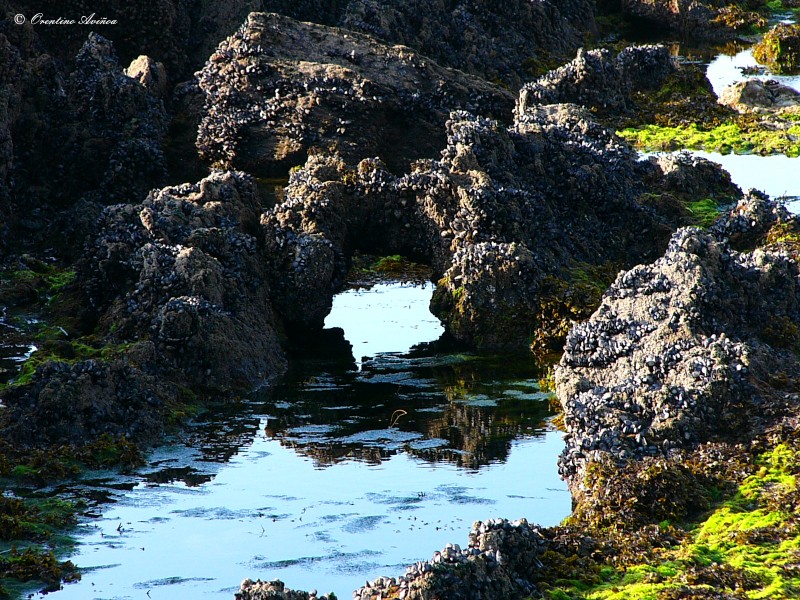La ruta de la marea