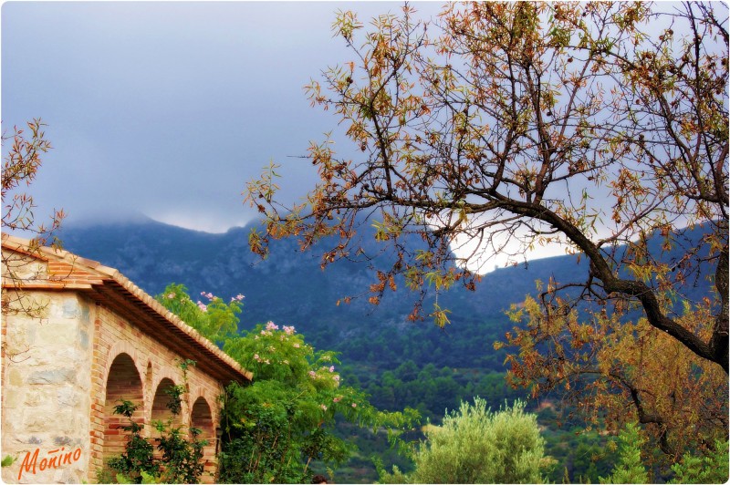 Paisaje rural