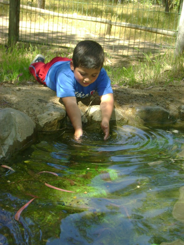 Mi hijo y la naturaleza