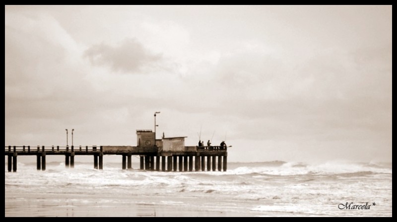 Muelle Sepia