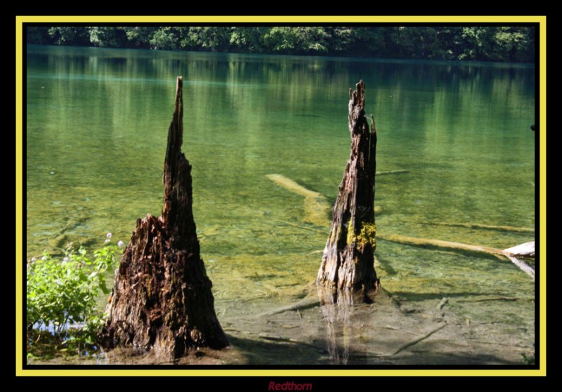 Mudos testigos de la naturaleza