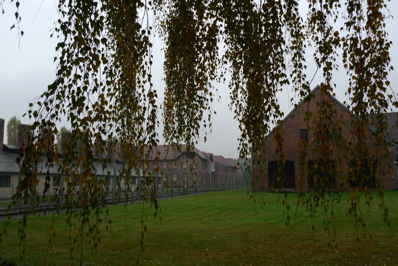 lluvia de otoo sobre Auschwitz