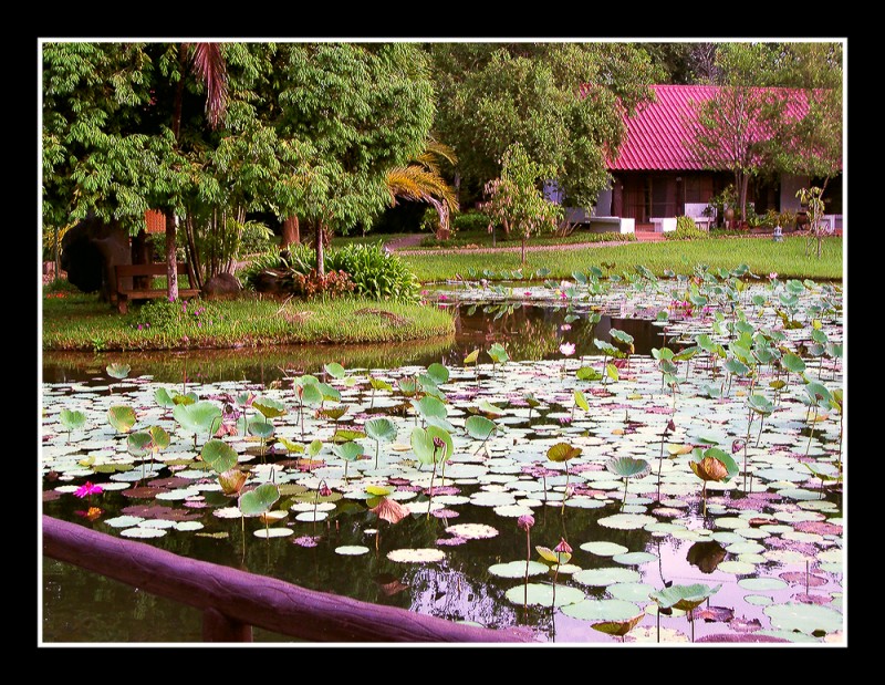 PAISAJE ASIATICO