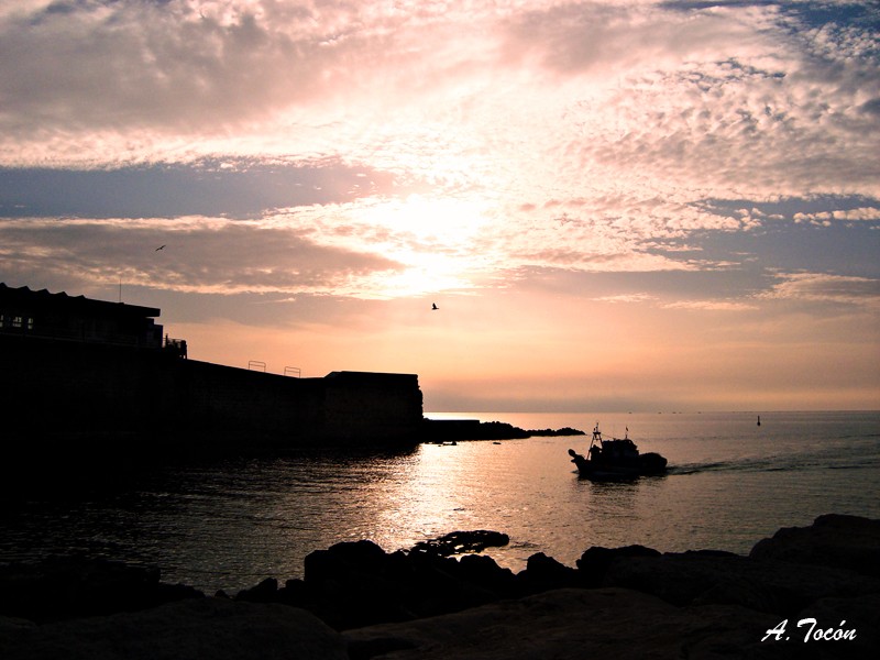 Amanece95