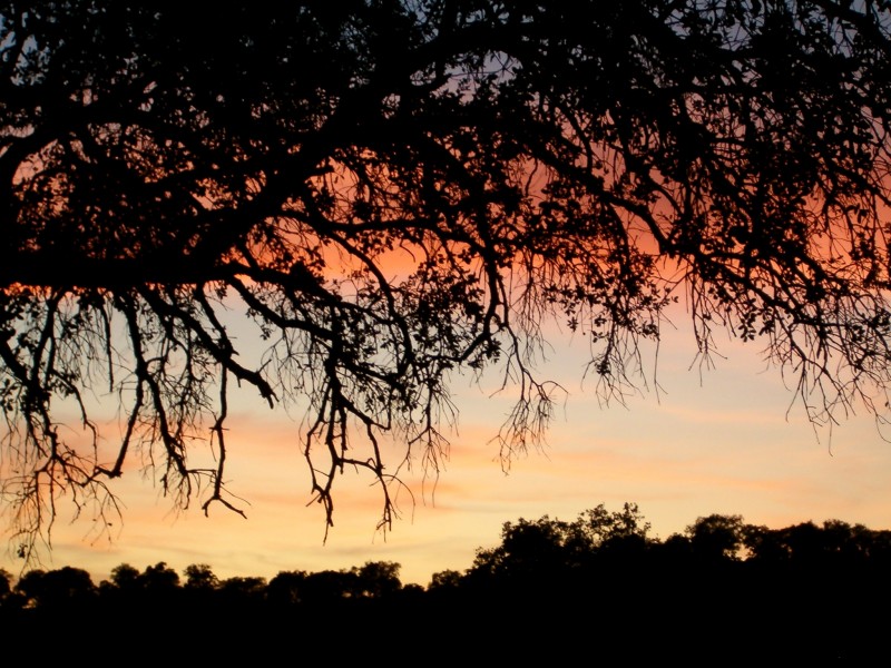 Atardecer en la Sierra Norte