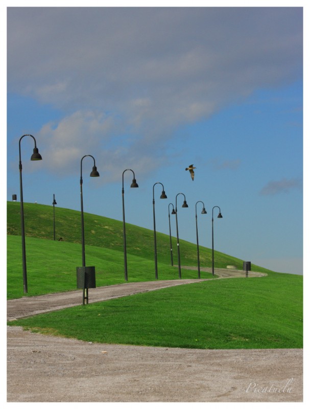 Farolas