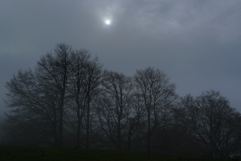 amanecer entre la niebla