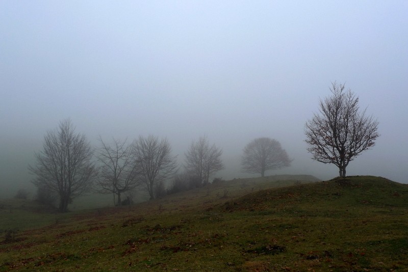 niebla matinal