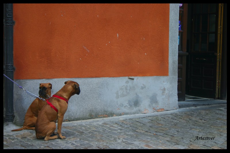 esperando