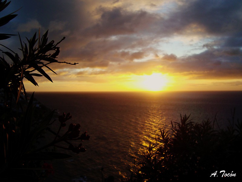 Amanece85