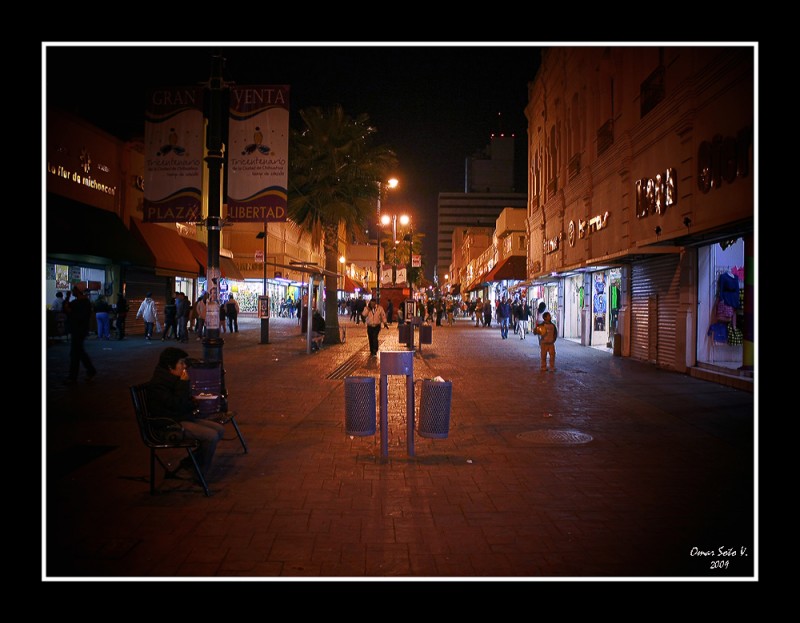 CHIHUAHUA DE NOCHE