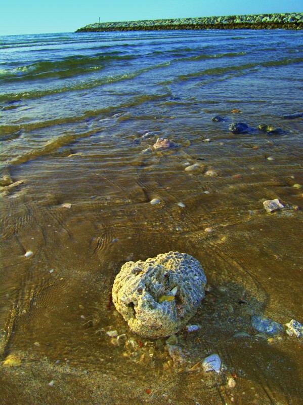 Piedra de mar.