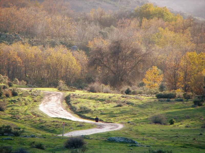 Por el sendero