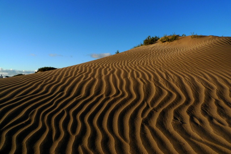 la piel de la duna