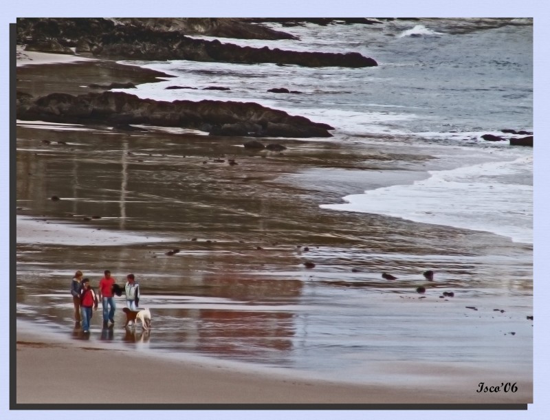 Un paseo por la playa