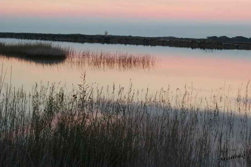 Paseo por las Salinas