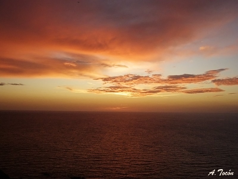 Amanece254