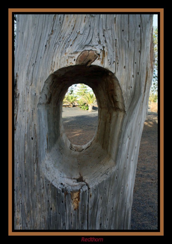 La ventana indiscreta