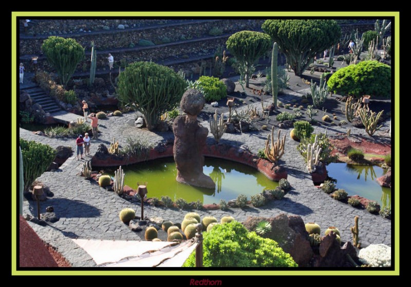 Vista general del jardn de Cactus