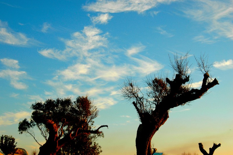 Mirando al cielo