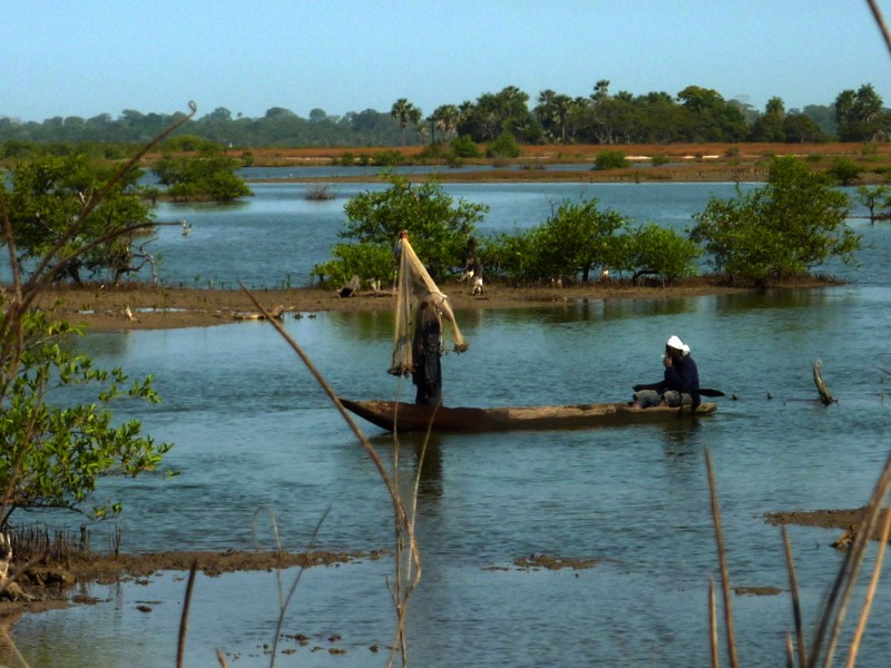 pesca tradicional