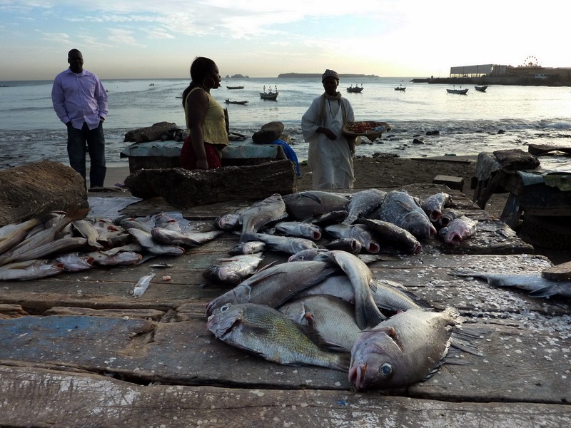 mercado del pescado