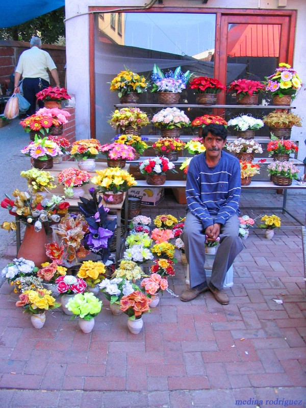 mercado de Bartin