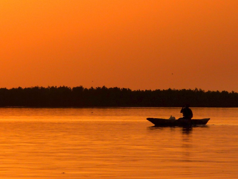 pesca al atardecer