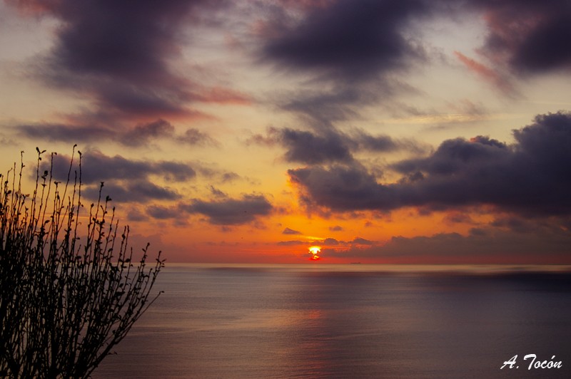 amanece301