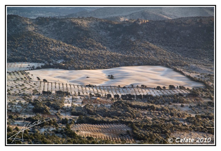 Felanitx nevat, vis de Sant Salvador