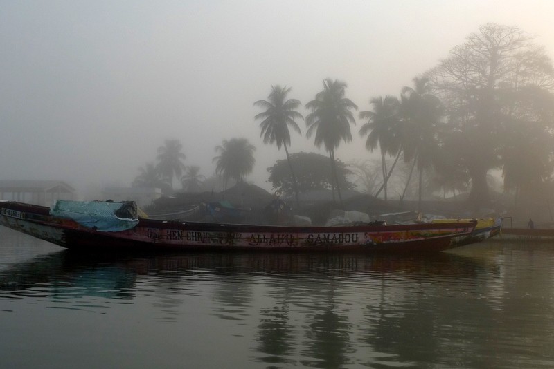 niebla matinal