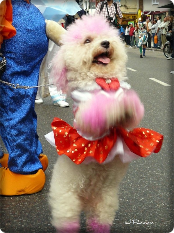 Bailarina de carnaval