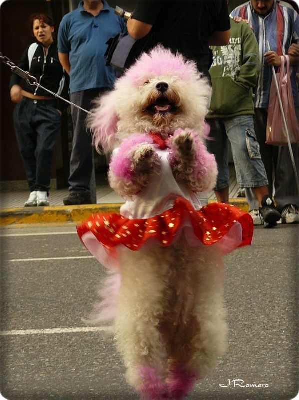 Bailarina de carnaval II