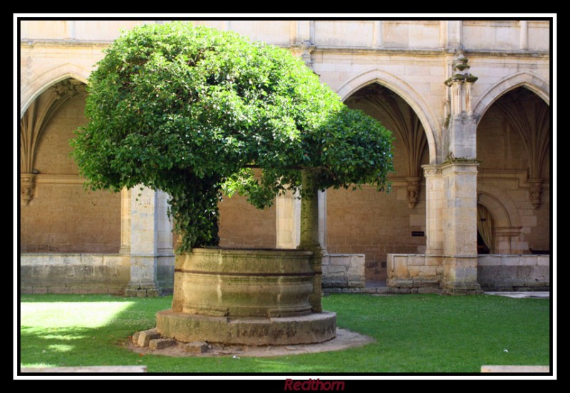 Claustro convento San Zoilo