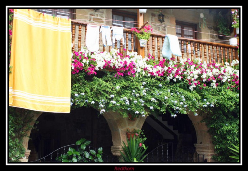 Las flores combinan con la ropa tendida