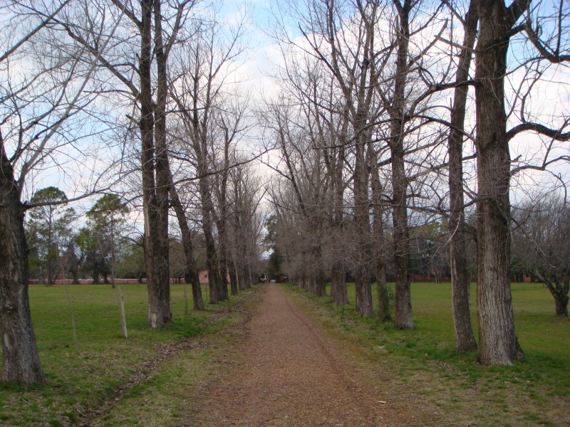 Un camino largo