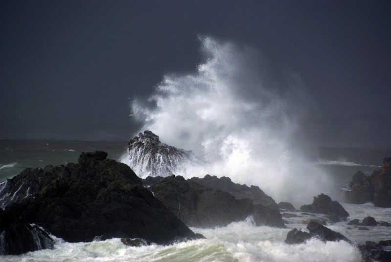 Tormenta I