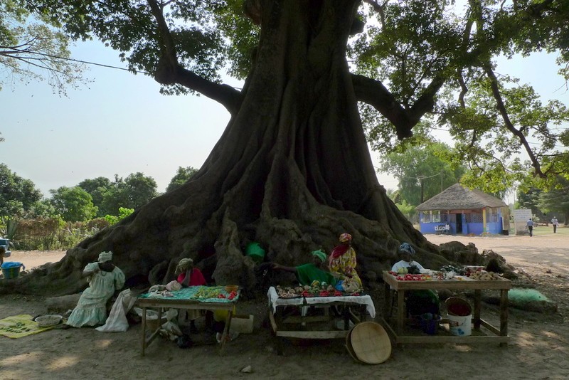 a la sombra del baobab