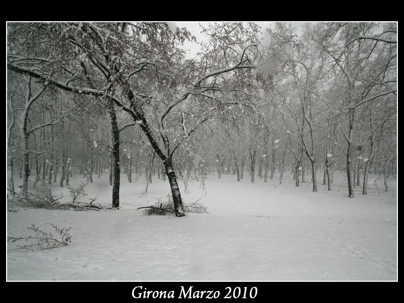 Gran nevada