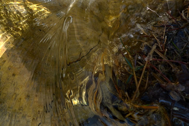 reflejos en el agua