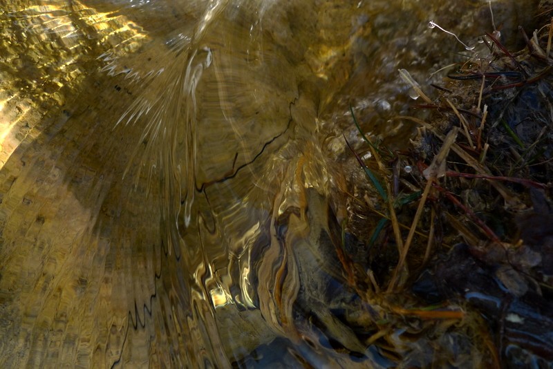 reflejos en el agua