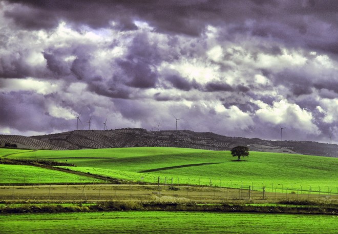 ANDALUCIA