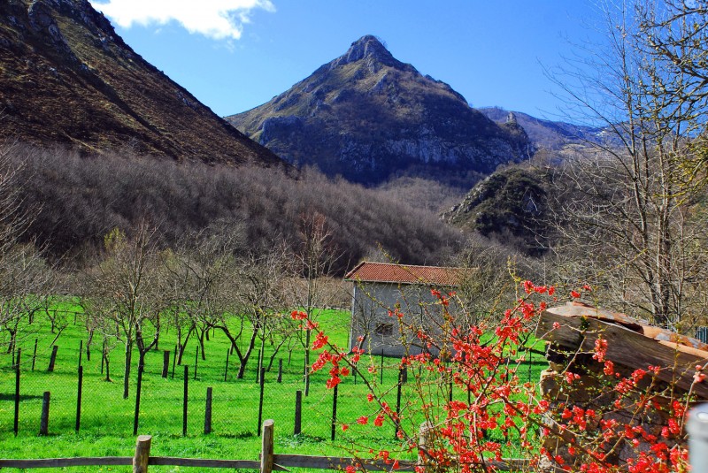 cabaa y paisaje