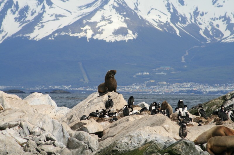 Isla de Lobos